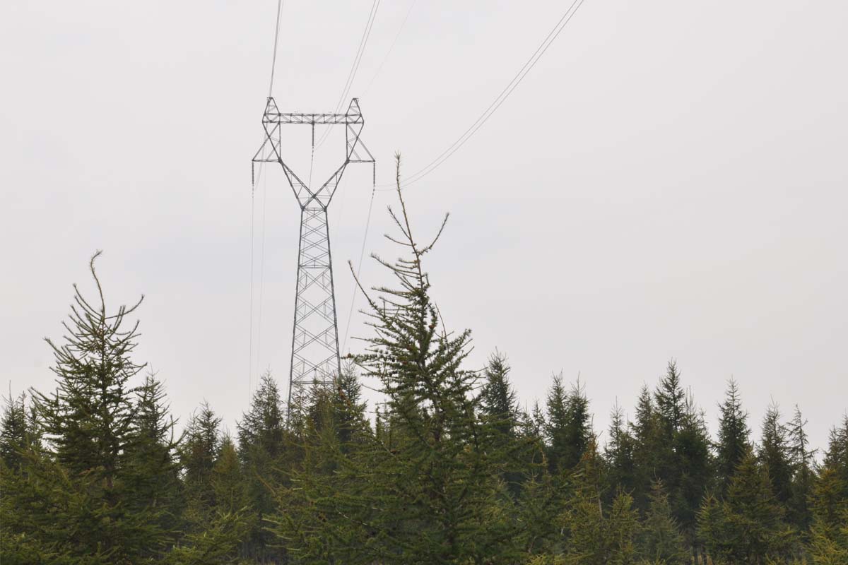 transmission line angle steel tower projectA